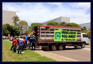 Protesto em Brasília contra a proibição das vaquejadas. Foto Sivanildo Fernandes