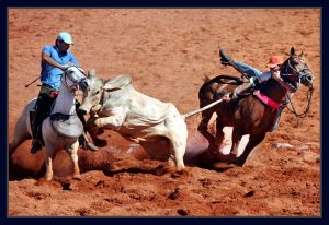 Vaquejada no nordeste: perseguição ao boi com peões montados a cavalo. Foto Orlando Brito