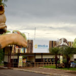 Zoológico de Brasília comemora 61 anos