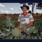 Maquinário disponibilizado pelo Fundo de Desenvolvimento Rural aumenta diversidade produtiva