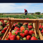 Emater-DF oferece curso de empreendedorismo para jovens do campo