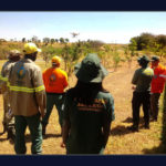 Seca faz Brasília Ambiental intensificar fiscalização