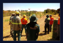 Seca faz Brasília Ambiental intensificar fiscalização