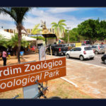 Confira o que abre e o que fecha nos próximos dias