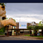Visitas guiadas voltam ao Zoo de Brasília
