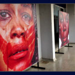 Observatório da Mulher será lançado na segunda-feira (29)