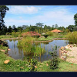 Jardim Botânico reabre para visitação nesta 3ª feira com novas regras