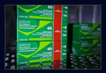 Vacinação contra a influenza começa nesta segunda (12)